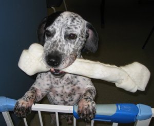 i need a very special home