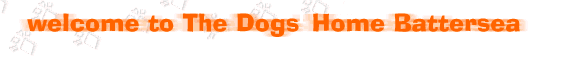 Welcome to the Battersea Dogs Home